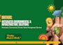 presentation design reports and content writing
